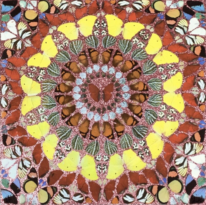 Psalm: Judica Domine