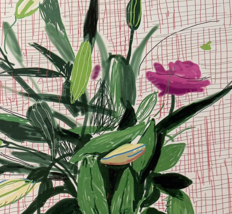 David hockney 516 consigned edit1