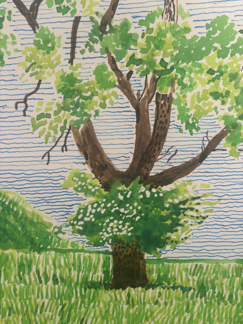 David hockney hawthorn bush detail