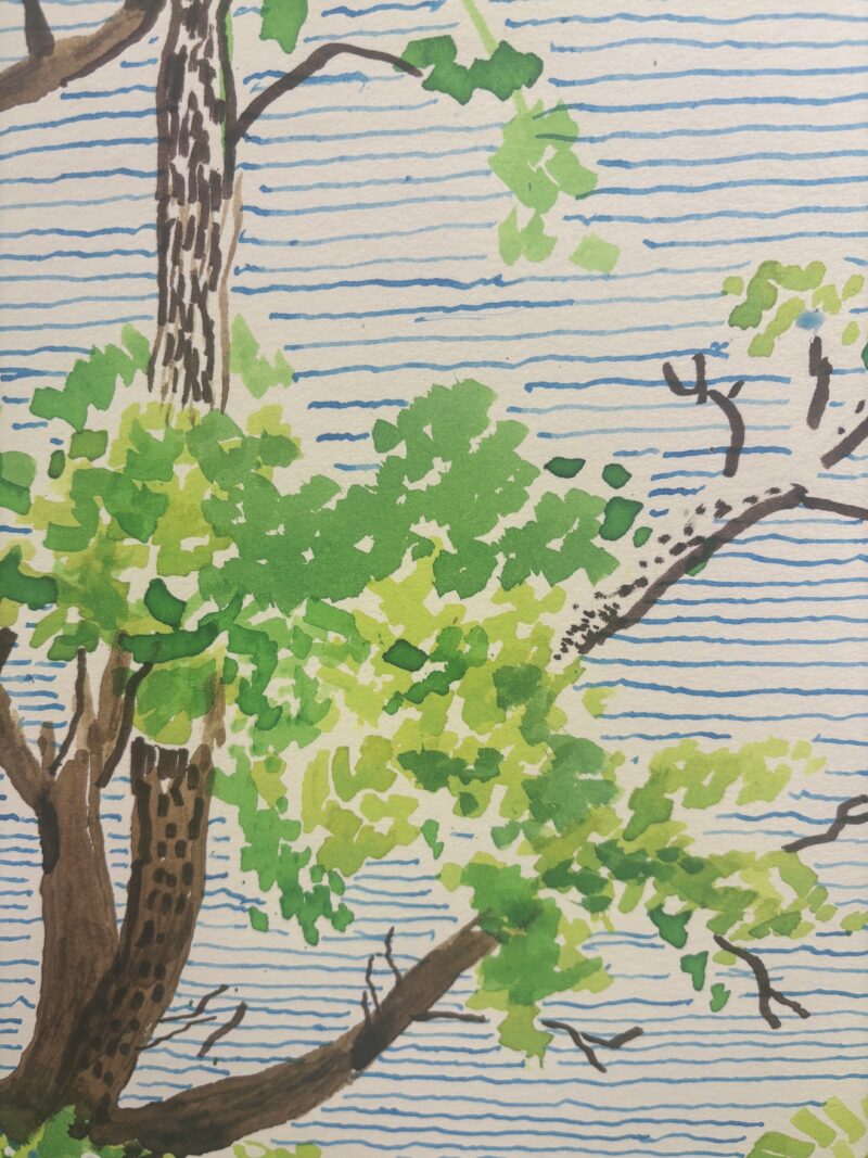 David hockney hawthorn bush detail1