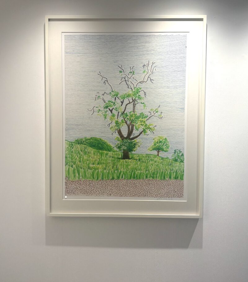 David hockney hawthorn bush front edit