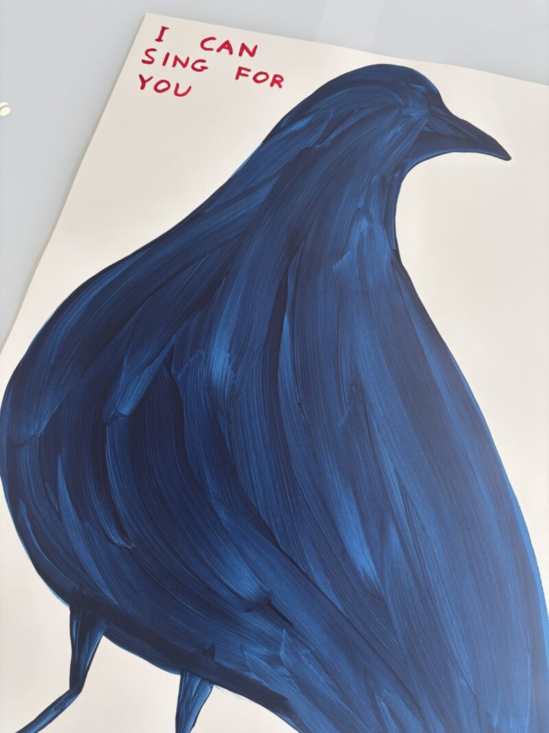 David shrigley i can sing for you detail1