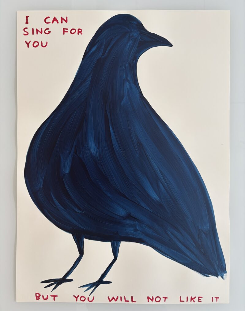 David shrigley i can sing for you detail2