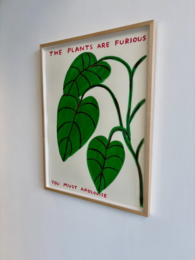 David shrigley the plants are furious angle