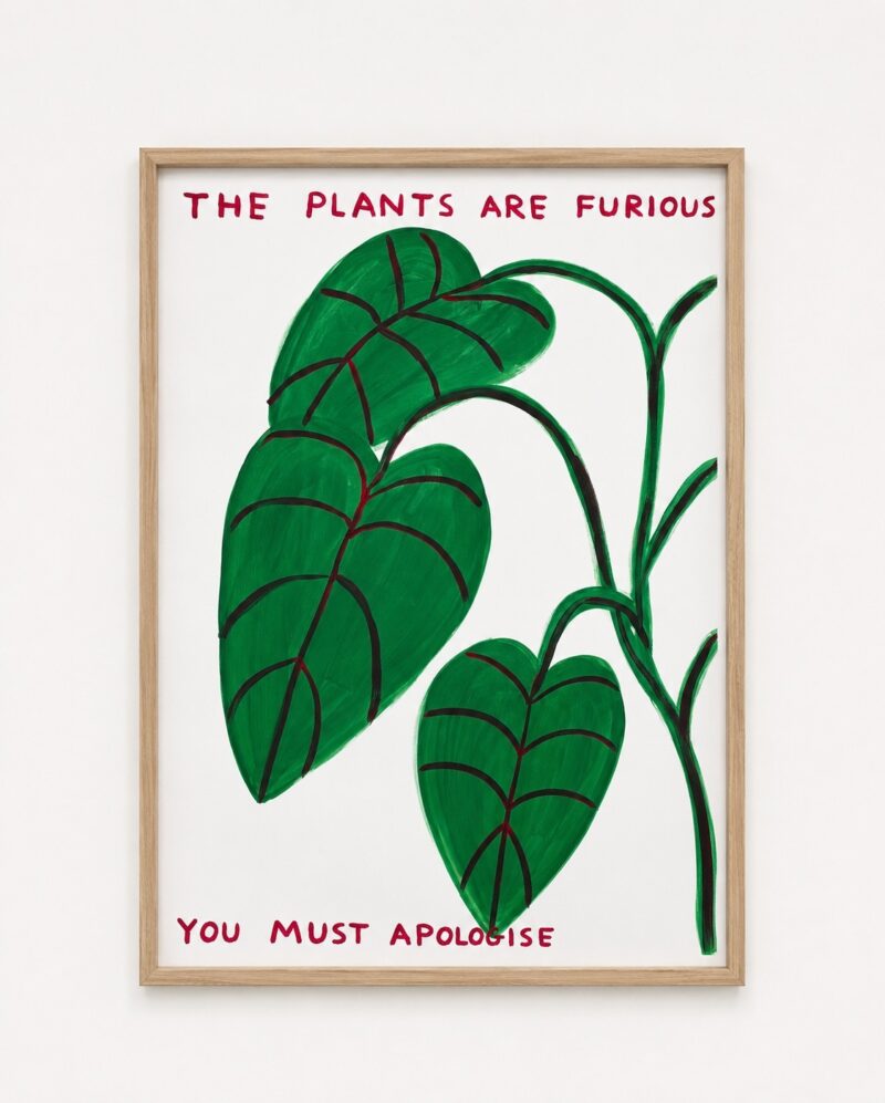 The Plants are Furious