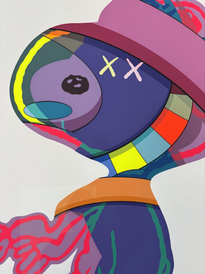 Kaws the things that comfort detail