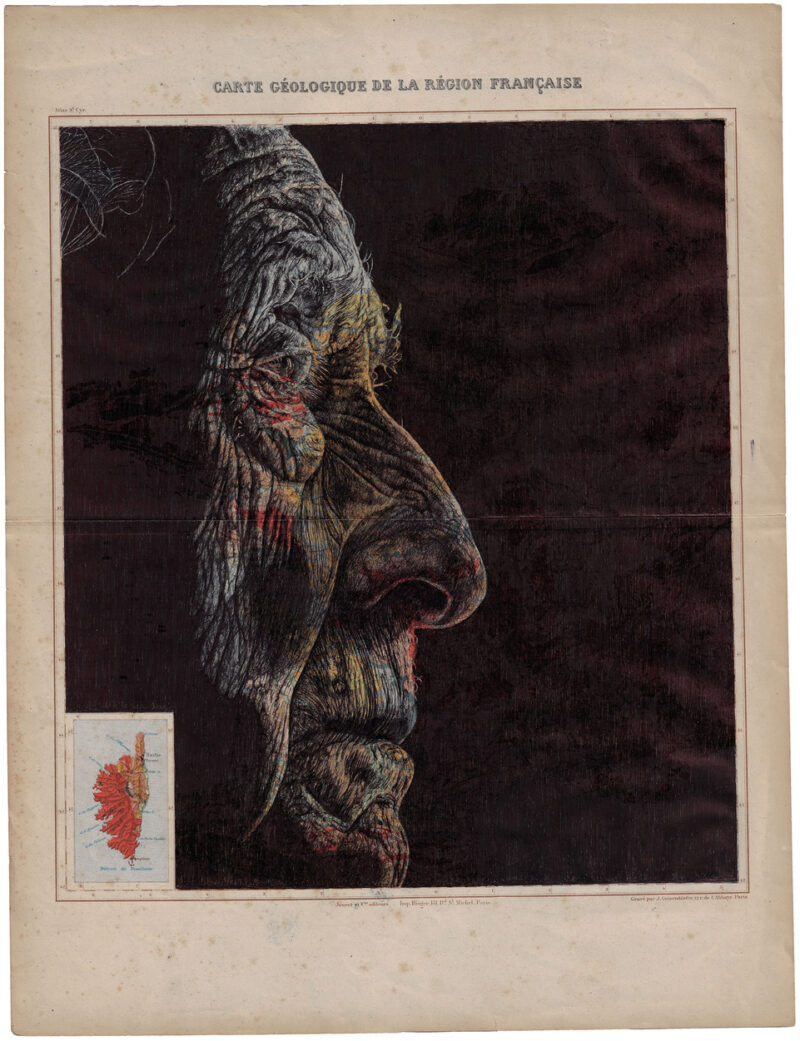 Deckchairs in the Shade