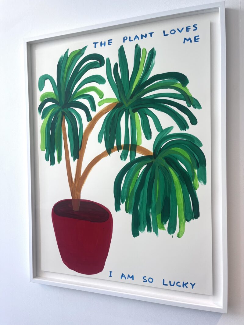 Shrigley plants front angle right