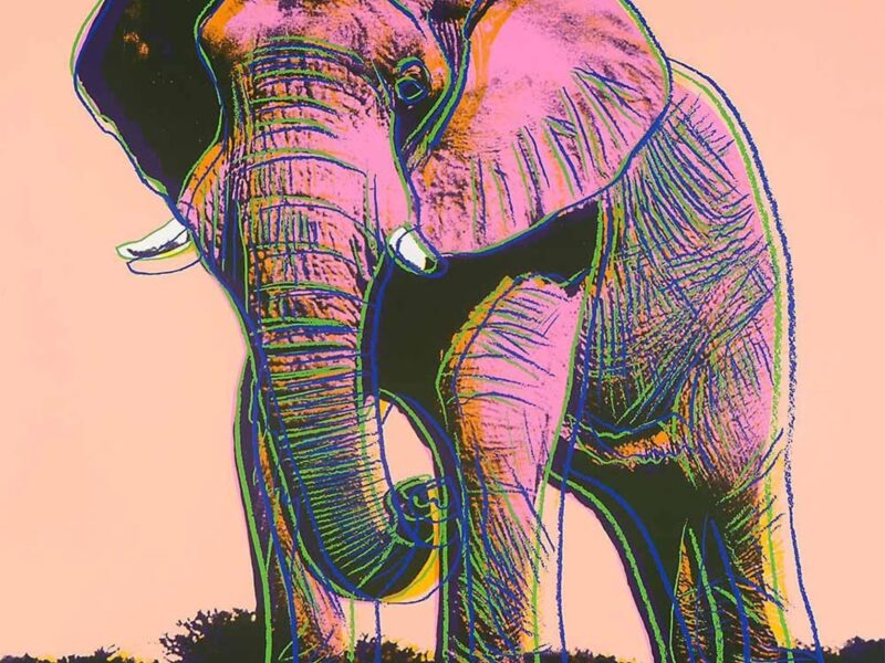 Why Collectors Are Obsessed with Warhol’s Endangered Icons?