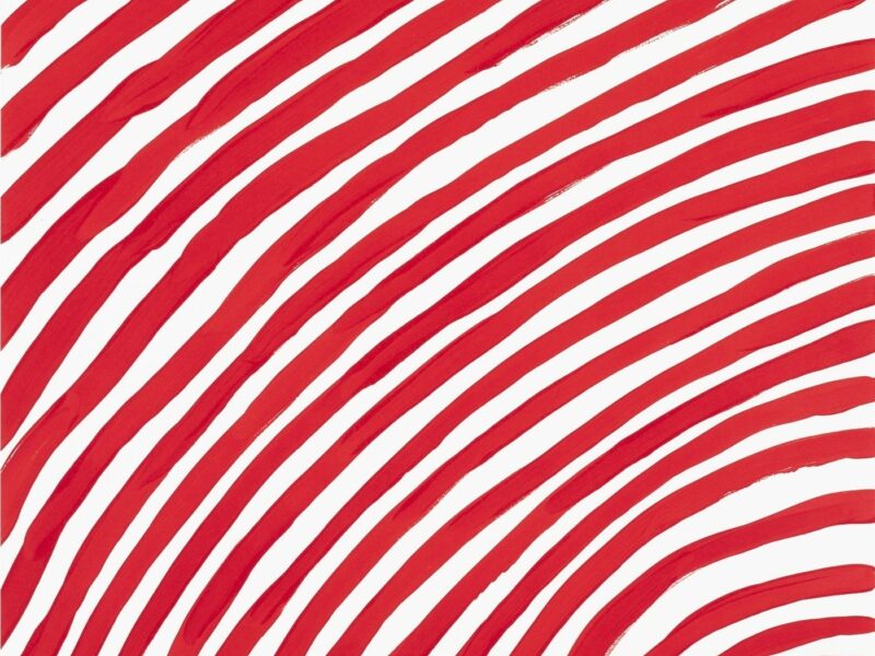 Decoded: David Shrigley