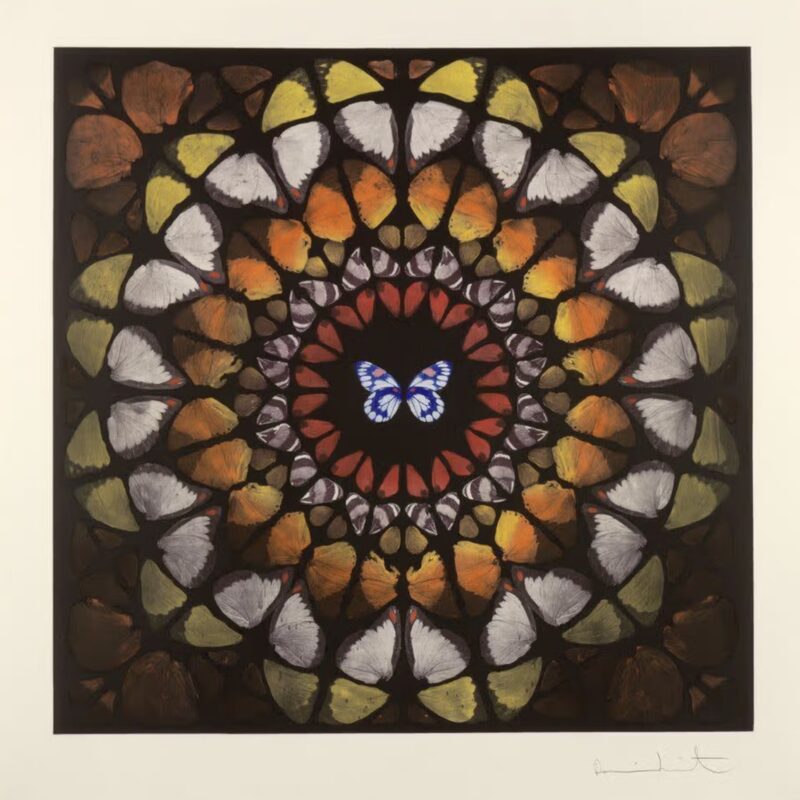 Damien Hirst: The importance of the 'Butterfly'