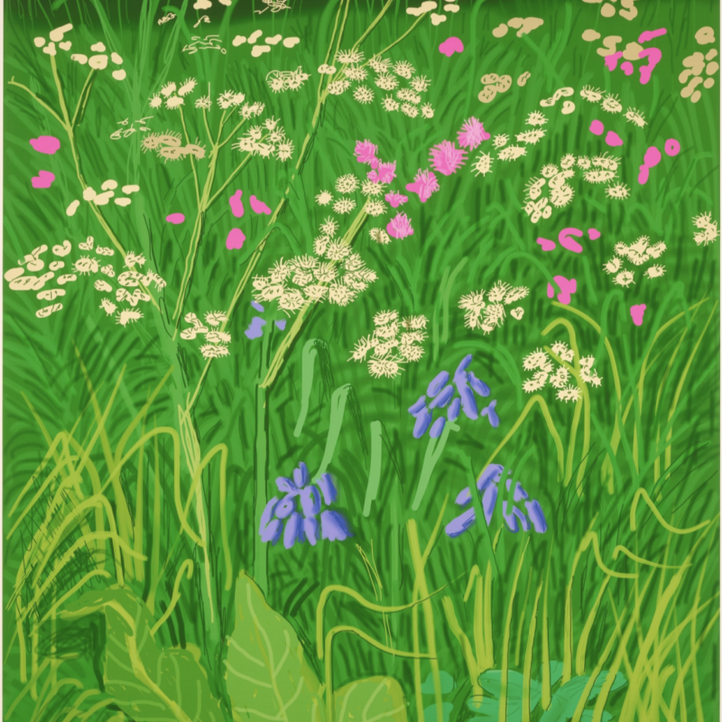 David Hockney: Record Auction Result