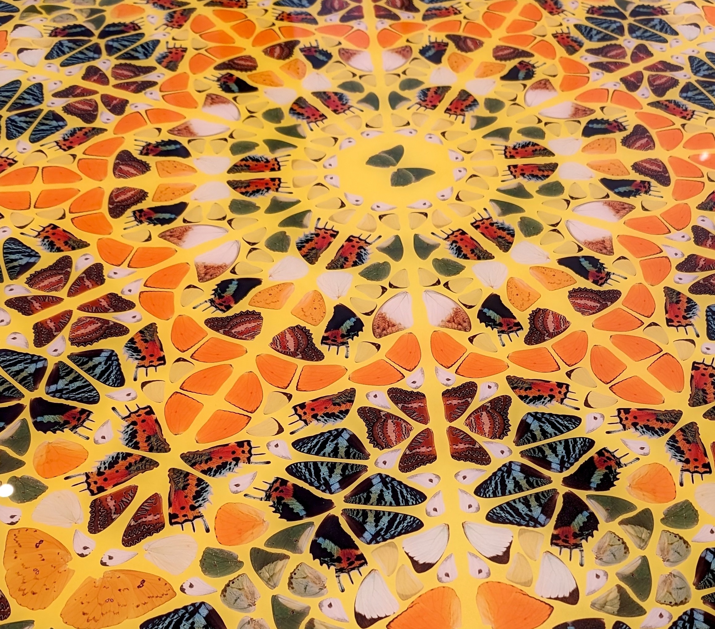 Editioned works are showing their strength