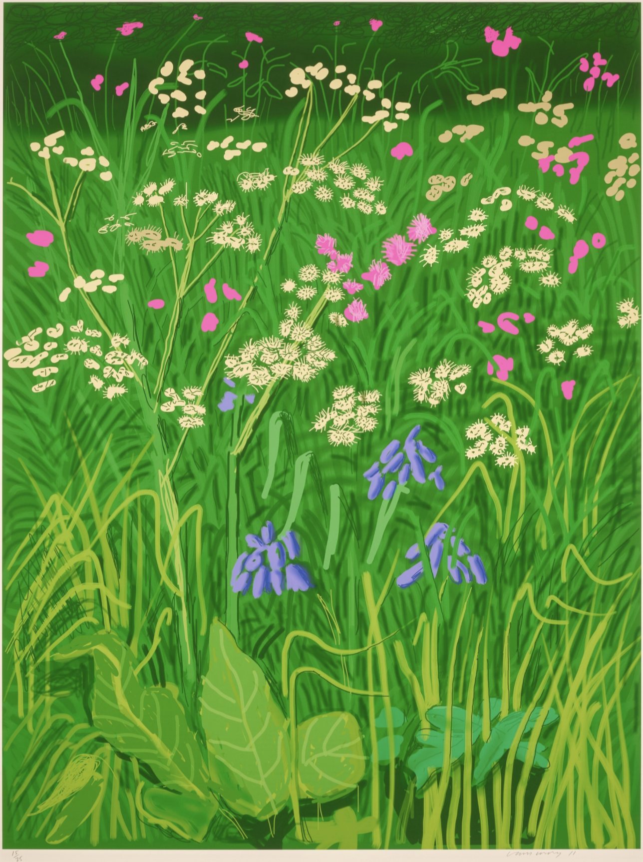 The Arrival of Spring in Woldgate, East Yorkshire in 2011 - 17 May