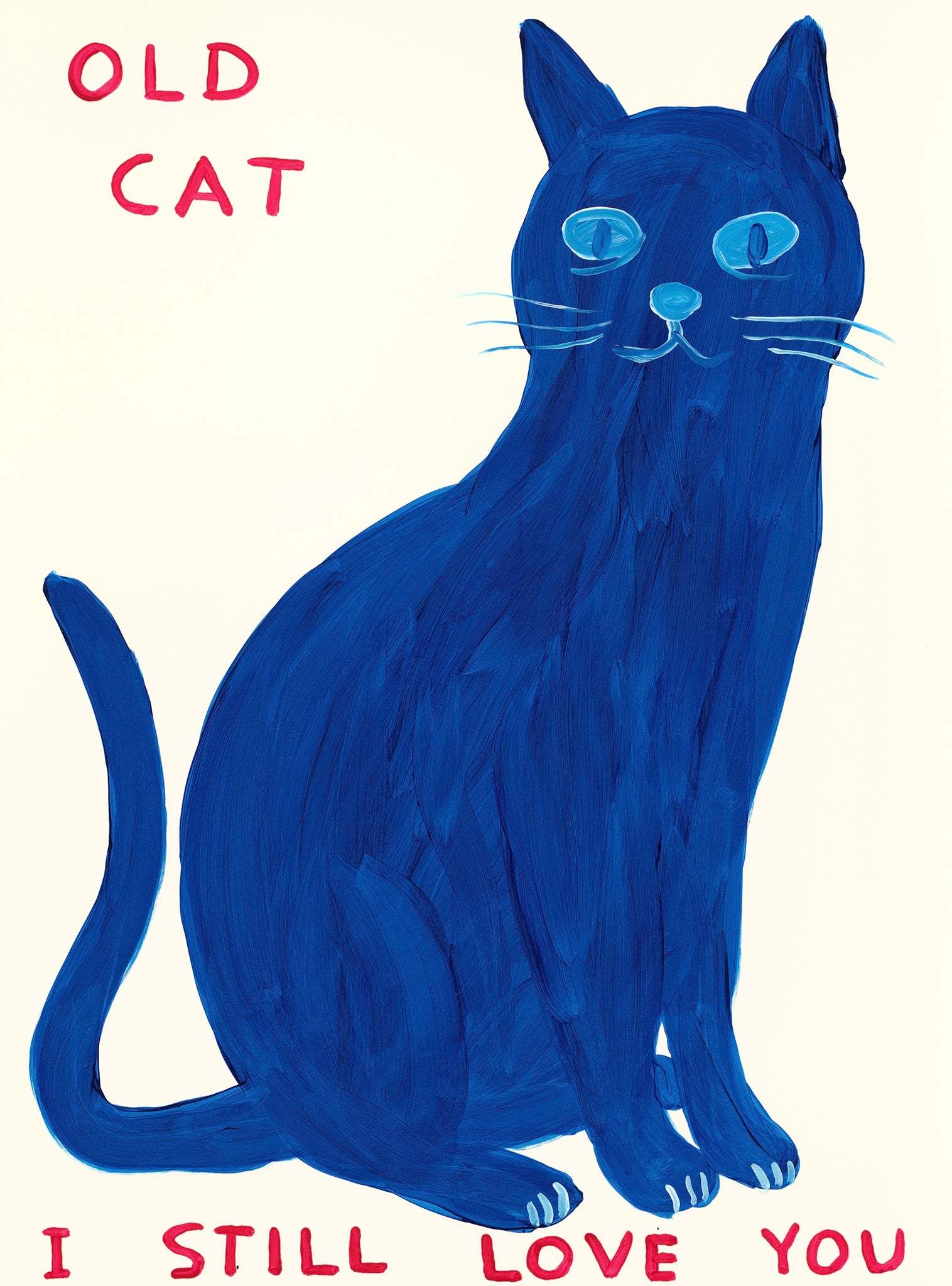 David Shrigley, Old Cat, 2022.