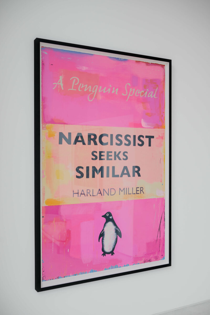 Hu dark skies install10