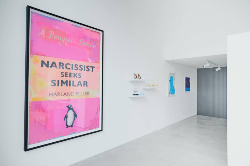 Hu dark skies install18