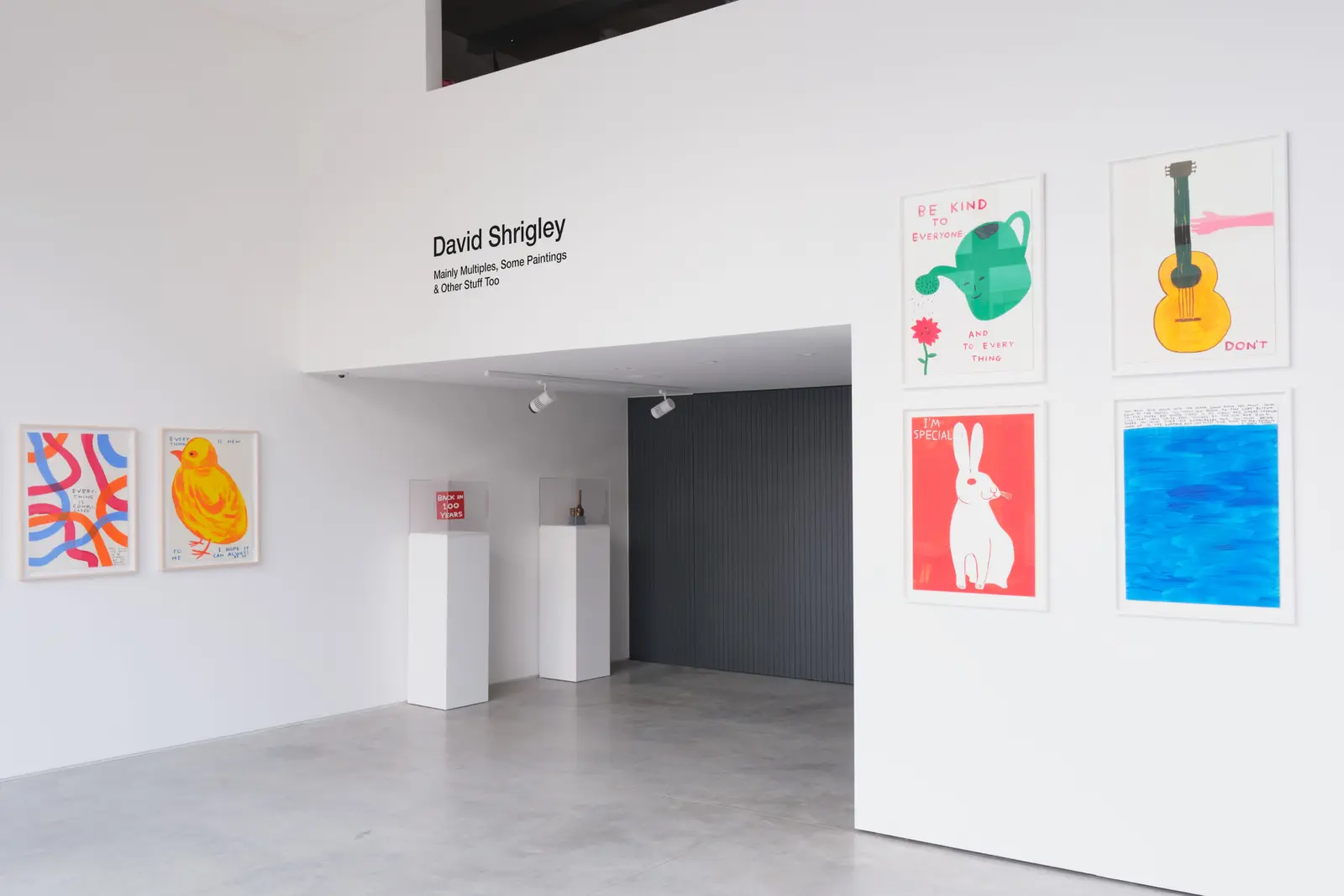 David Shrigley: Mainly Multiples, Some Paintings & Other Stuff Too