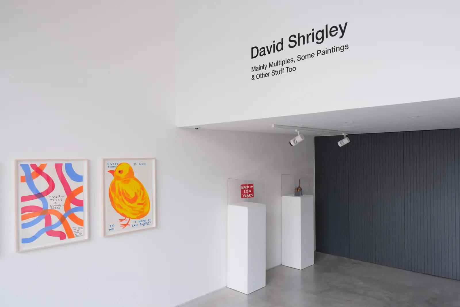 David Shrigley: Mainly Multiples, Some Paintings & Other Stuff Too