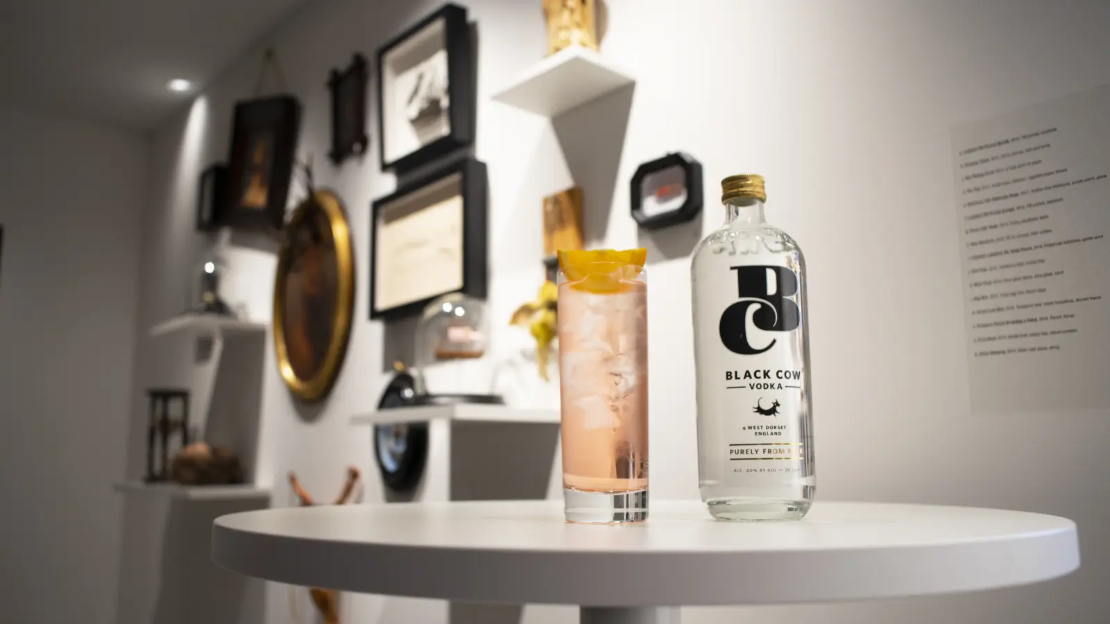 Fags, Birds and a Couple of Guns: A Retrospective of the Weird and Wonderful private view
