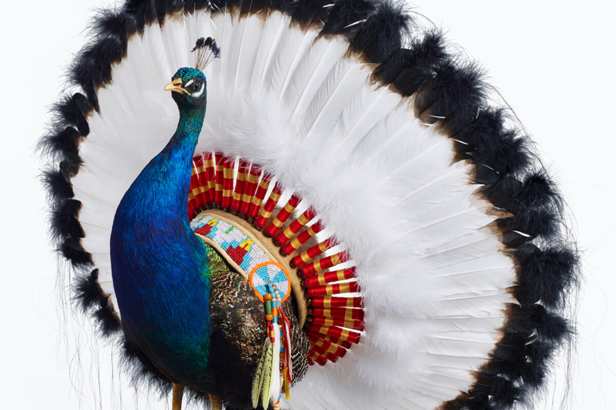 Fags, Birds and a Couple of Guns: A Retrospective of the Weird and Wonderful