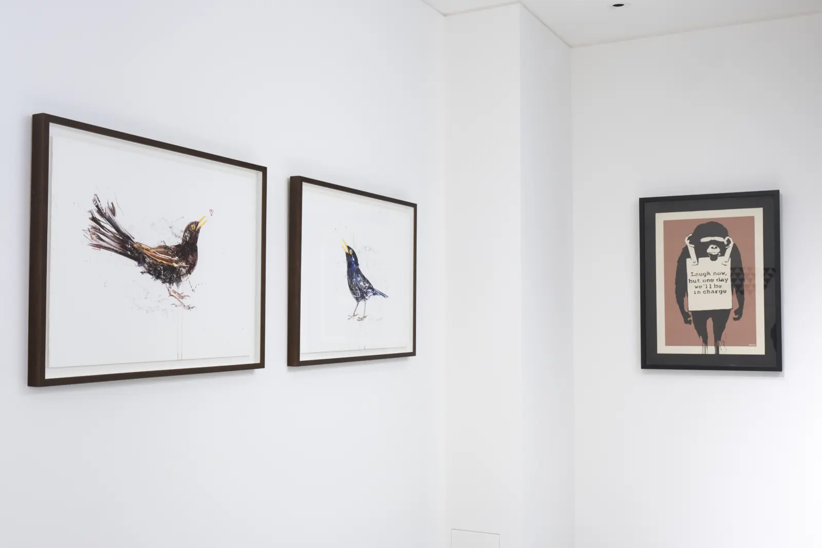 Hang-Up Curates Vol. VI