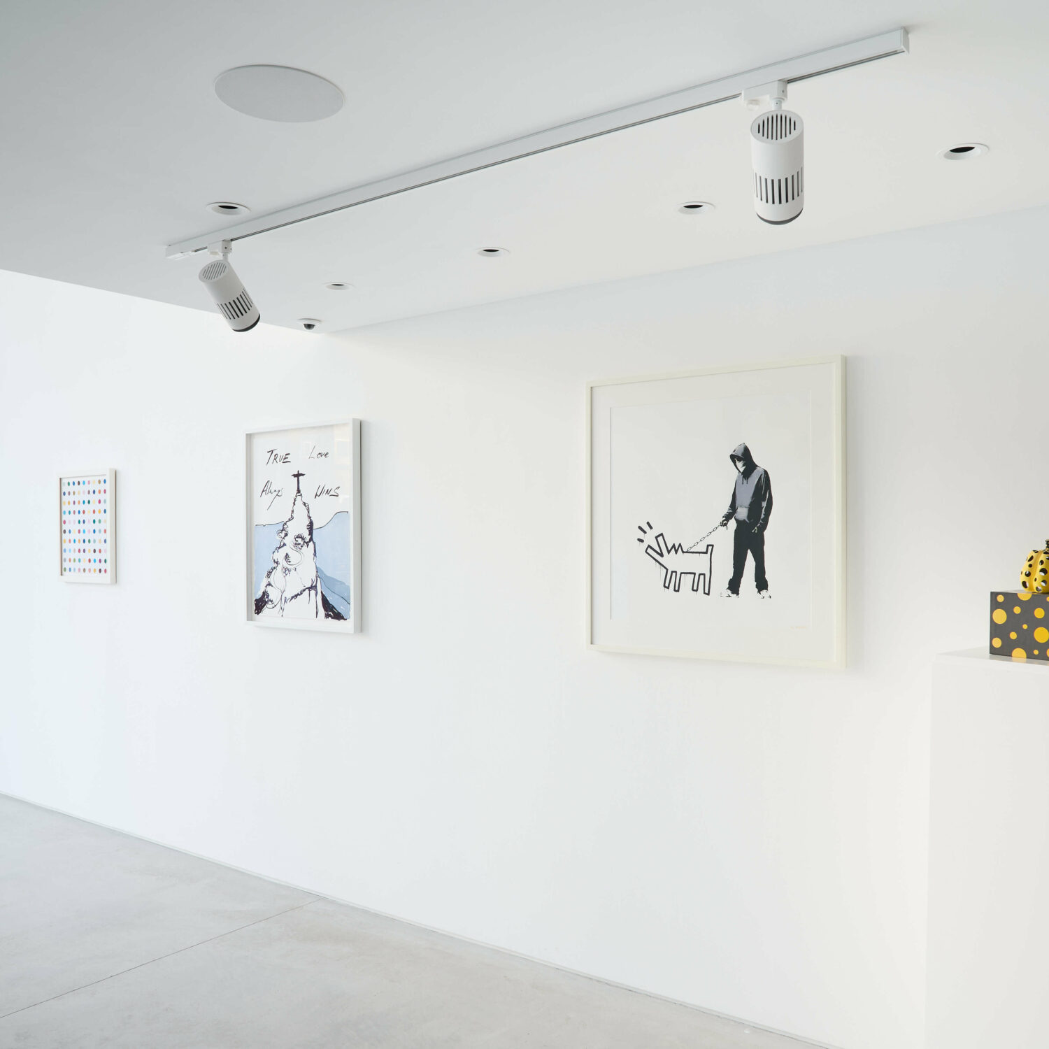 Hang-Up Curates Vol. XI