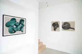 Echoes of Motion image 2