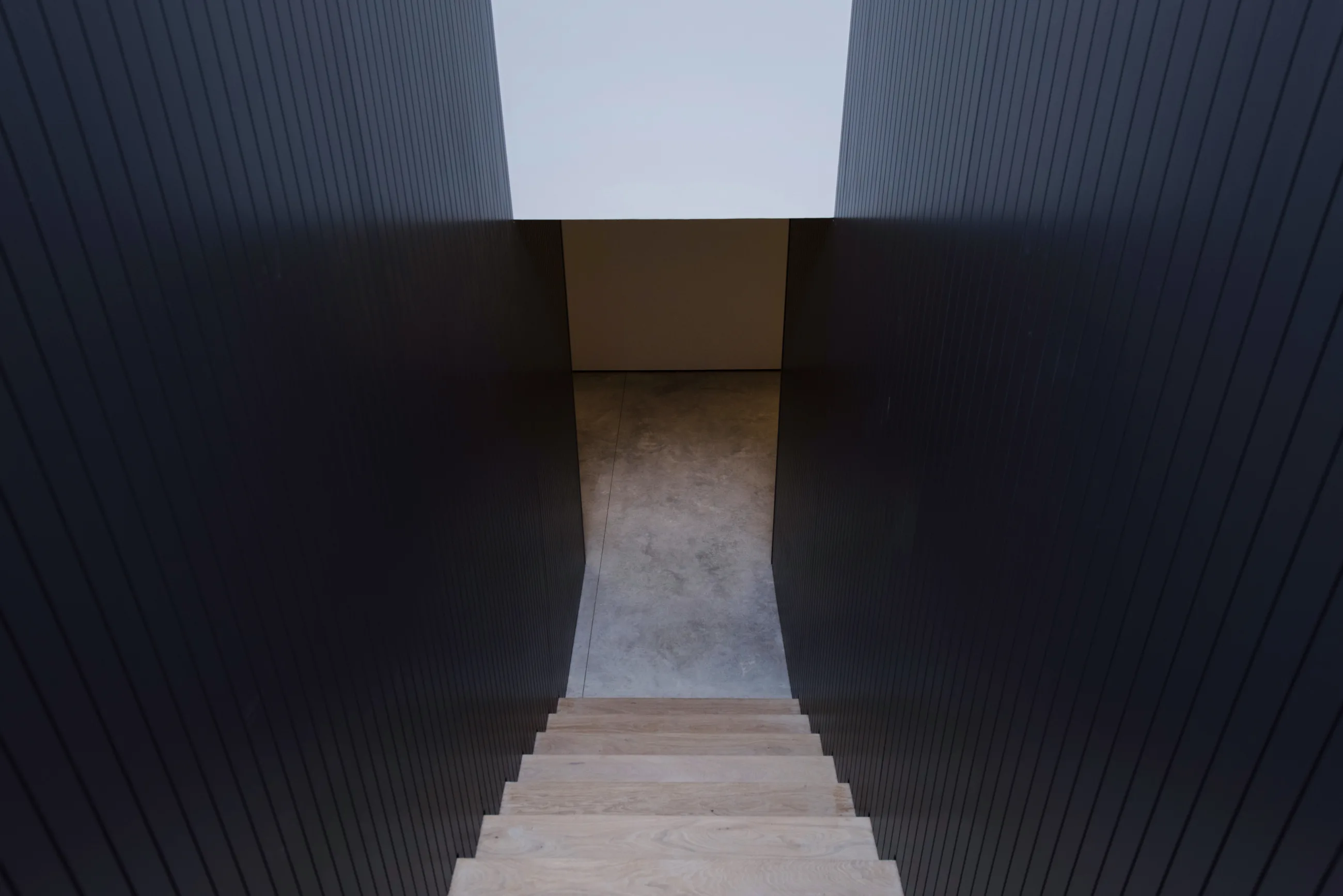 Visit the gallery