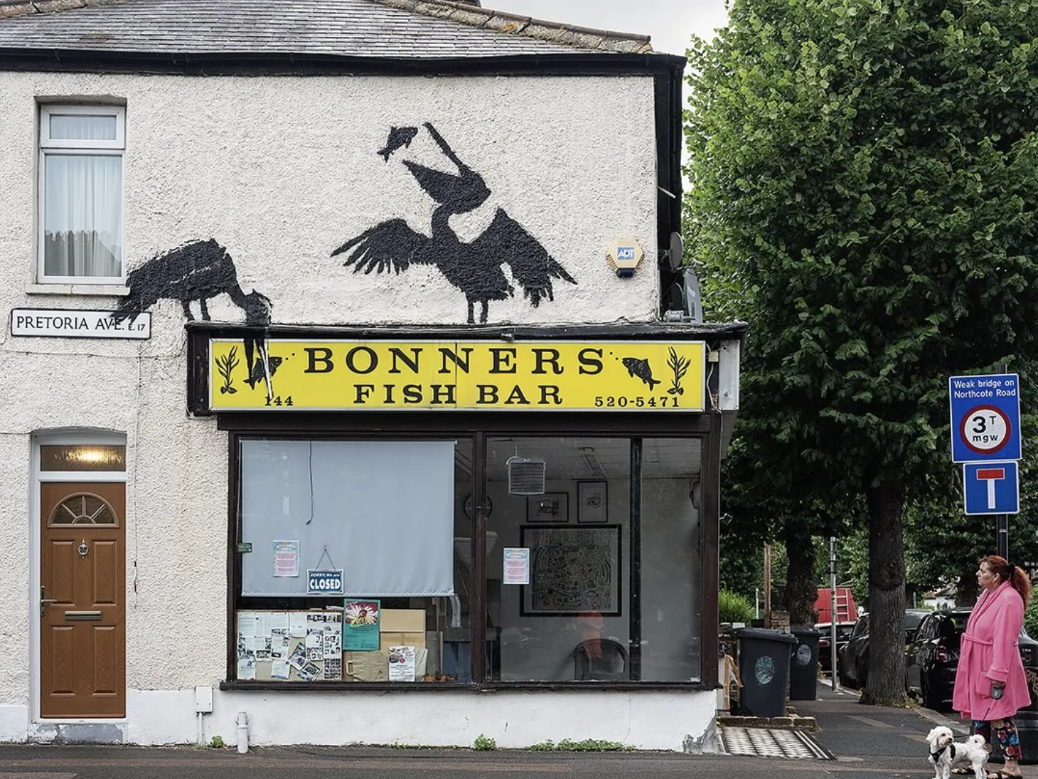 Banksy’s Animal Mural Series Ends at London Zoo: What Does It Mean?