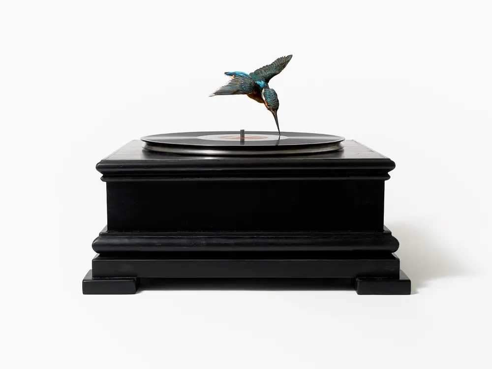 Meet the Artist | Nancy Fouts