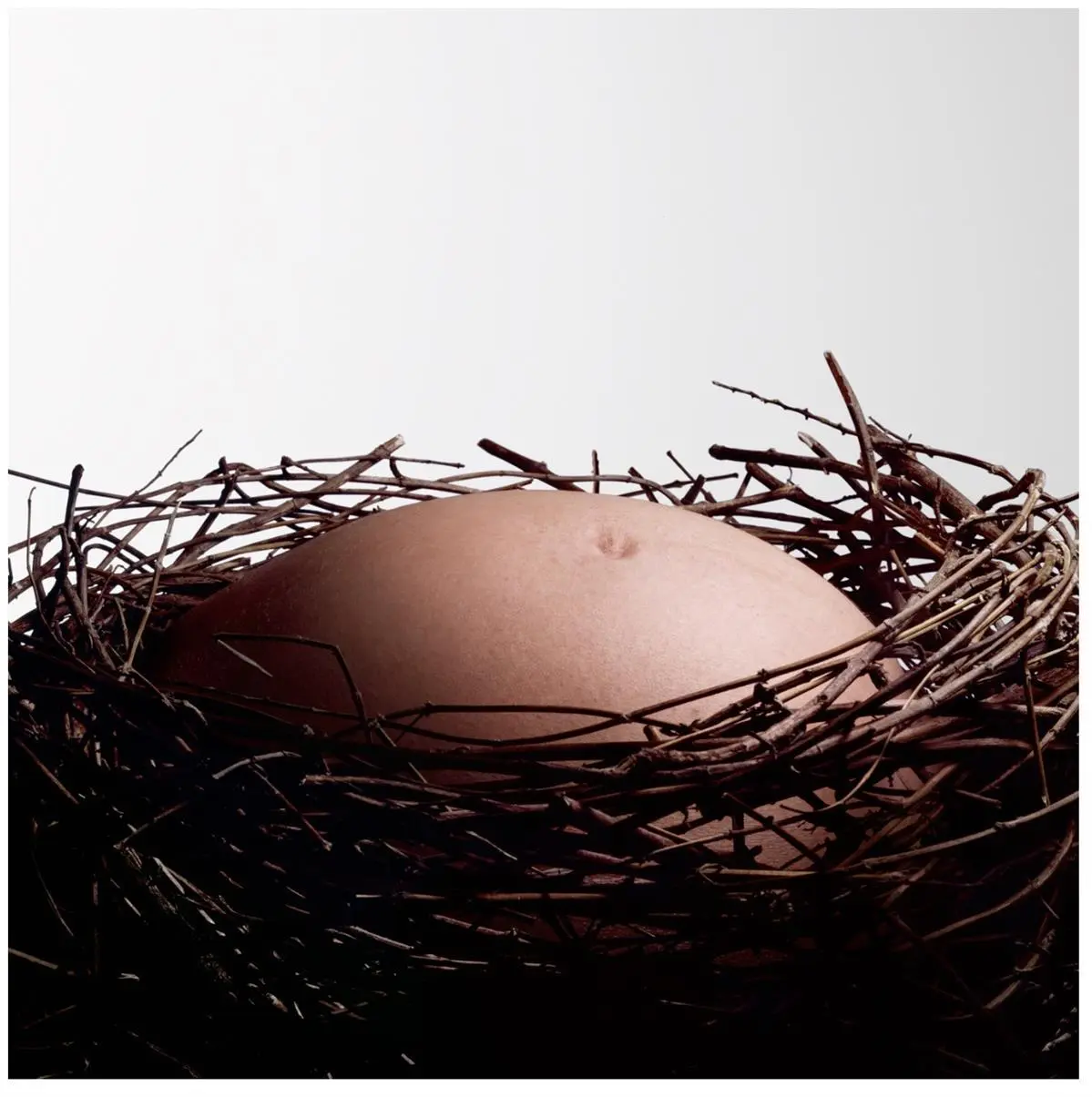 Baby Nest, Giclée print on paper, 2010