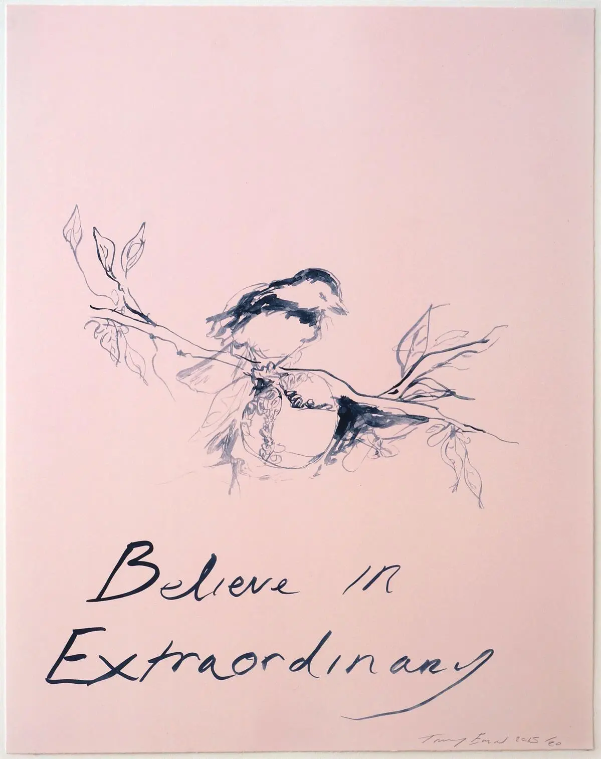 Believe in Extraordinary, Lithograph on paper, 2015