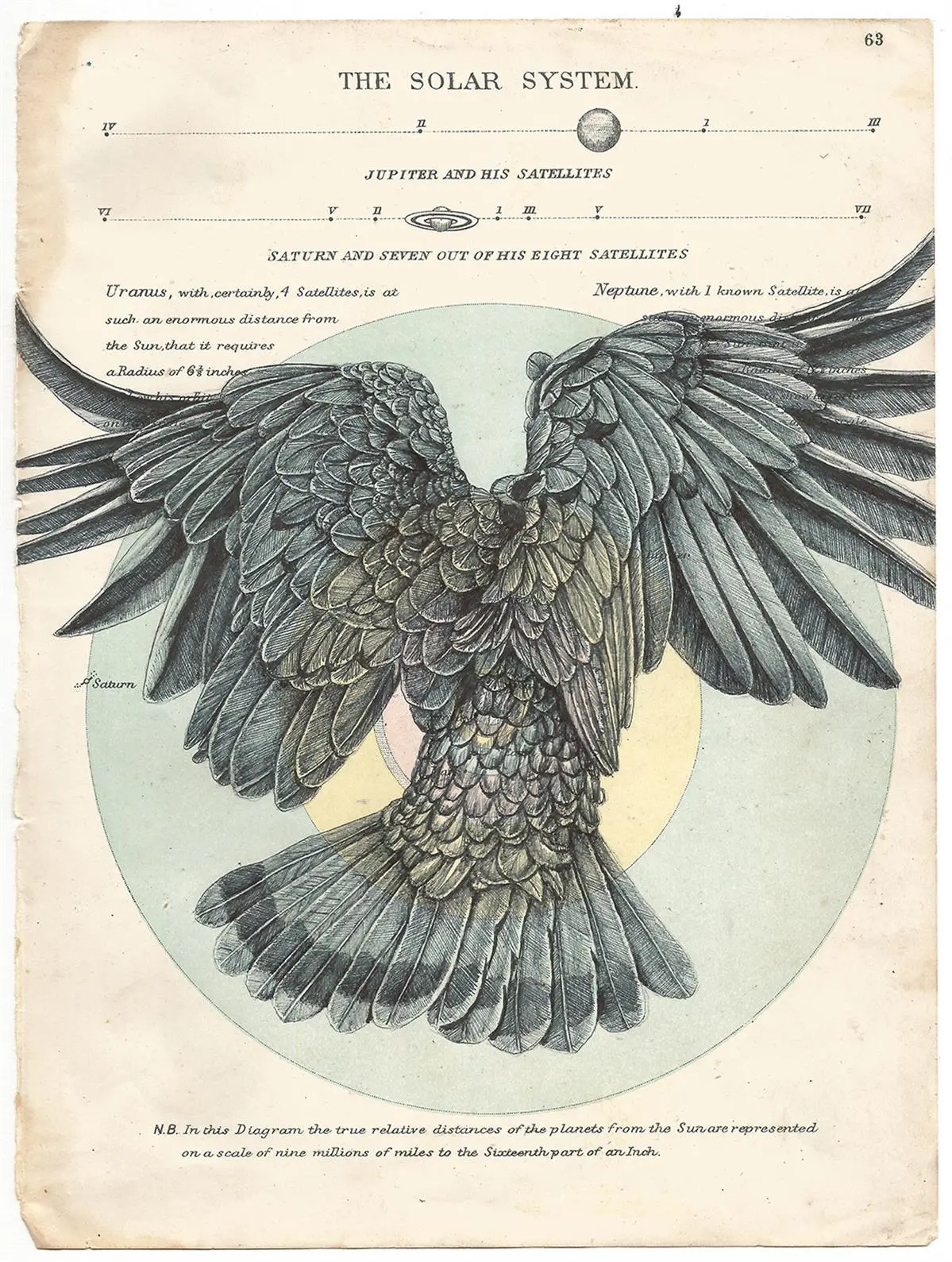 Fly Away Into the Sun, Bic Biro on antique document, 2017