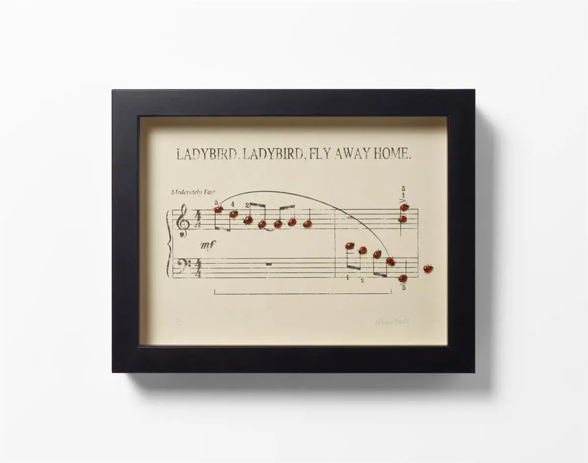 Ladybird, Ladybird, Fly Away Home by Nancy Fouts in a black box frame