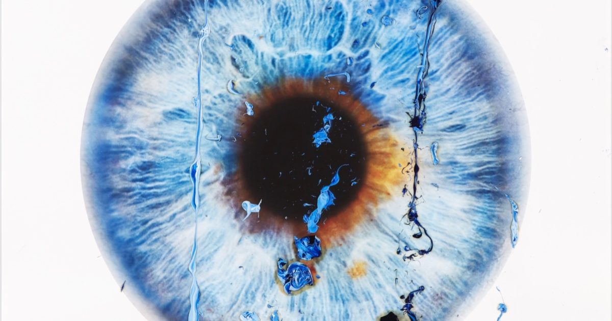 Five Things You Should Know About | Marc Quinn | Hang-Up Gallery