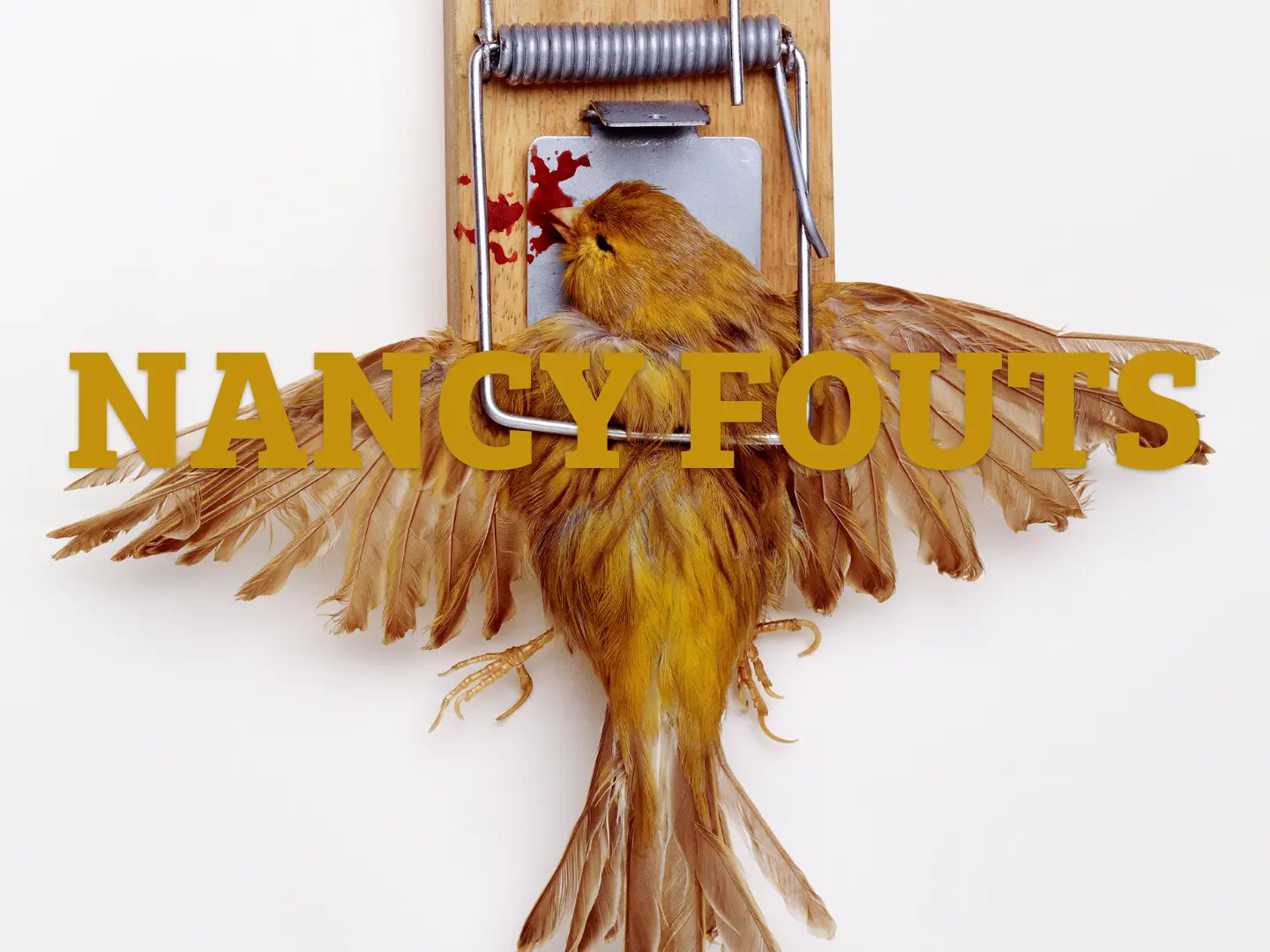 Introducing: Fags, Birds and a Couple of Guns