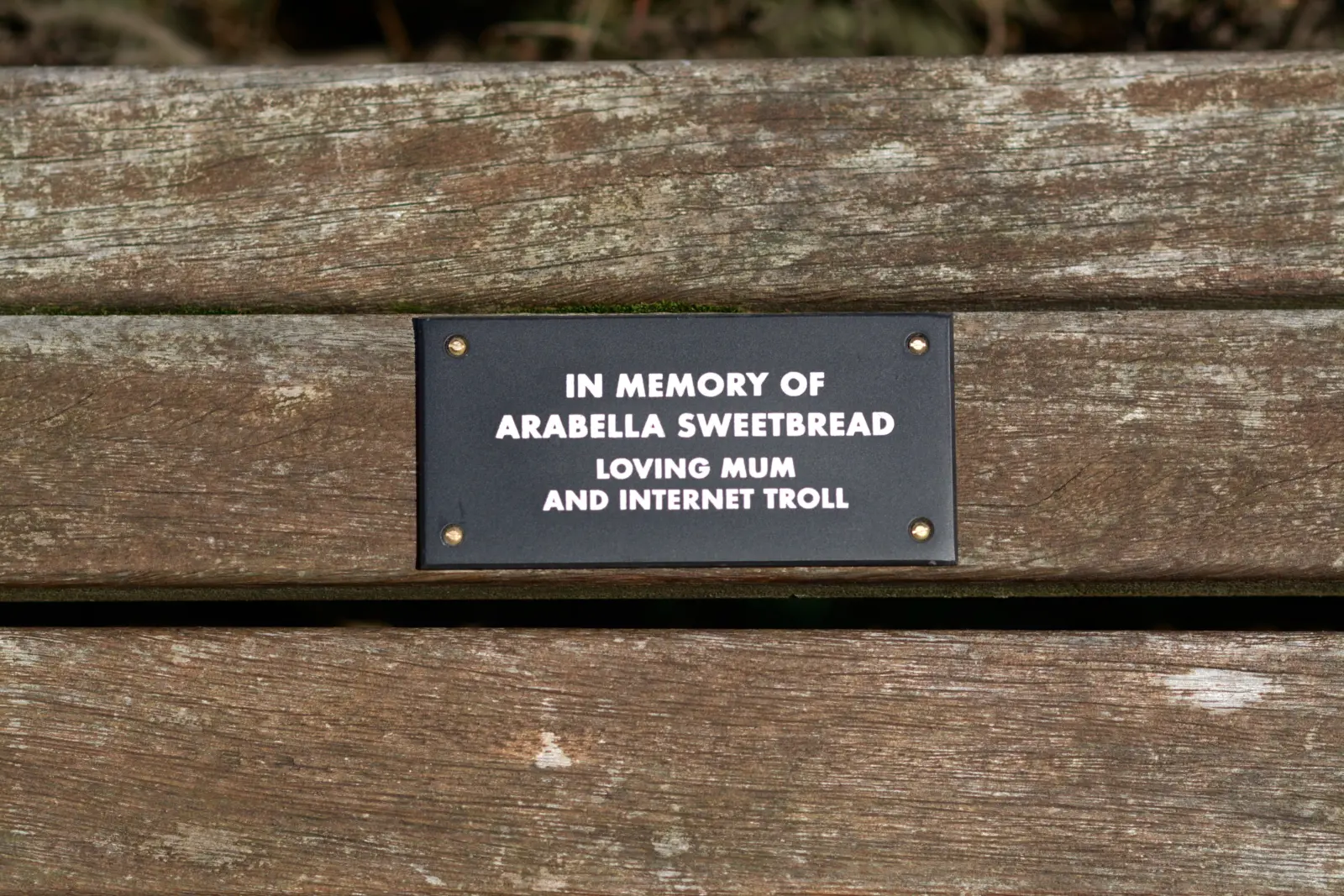 Tim Fishlock’s irreverent memorial plaques are popping up on benches all around London.