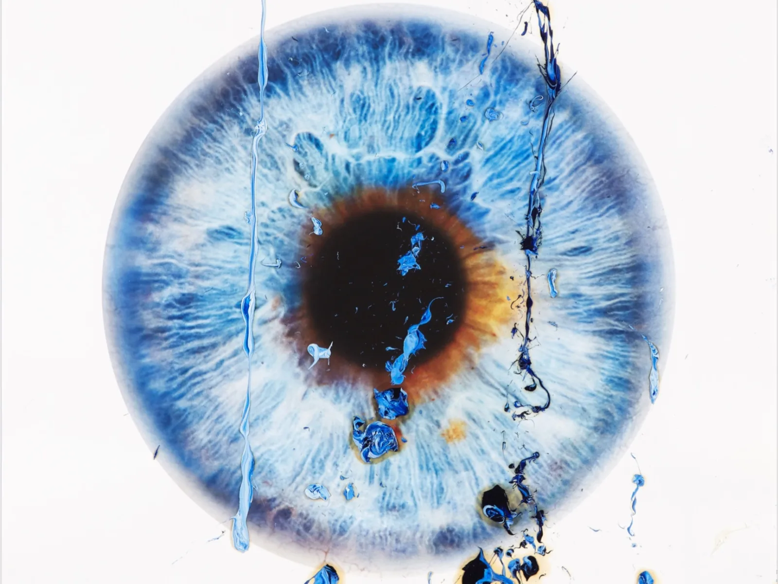 Five Things You Should Know About | Marc Quinn