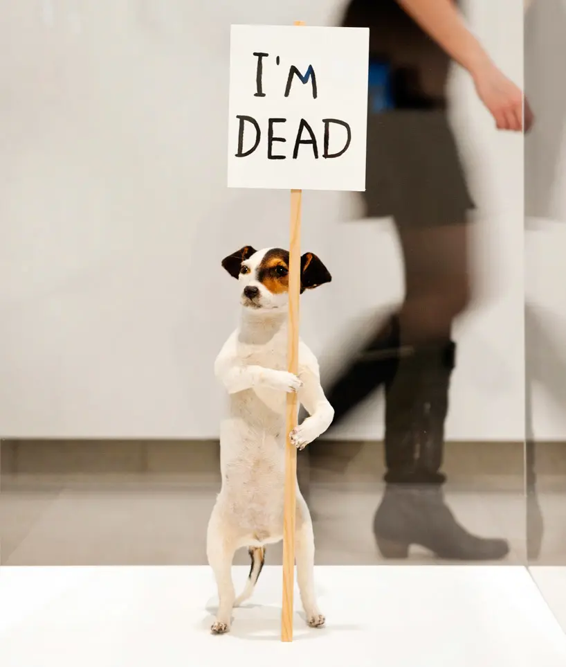 Installation view, David Shrigley: Brain Activity, Hayward Gallery, London, 2012.