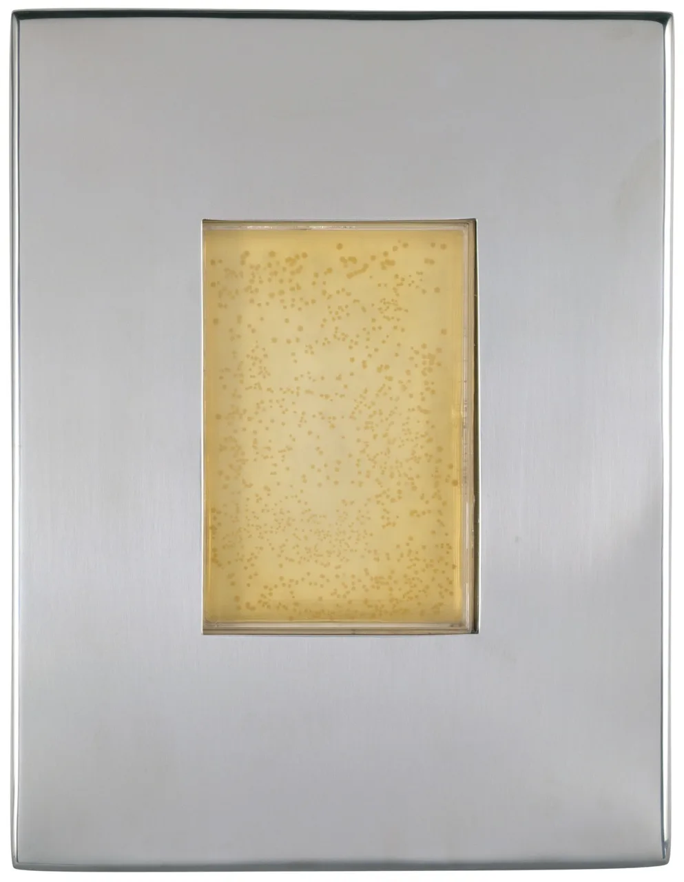 Sir John Edward Sulston  by Marc Quinn, sample of sitter's DNA in agar jelly mounted in stainless steel, 2001