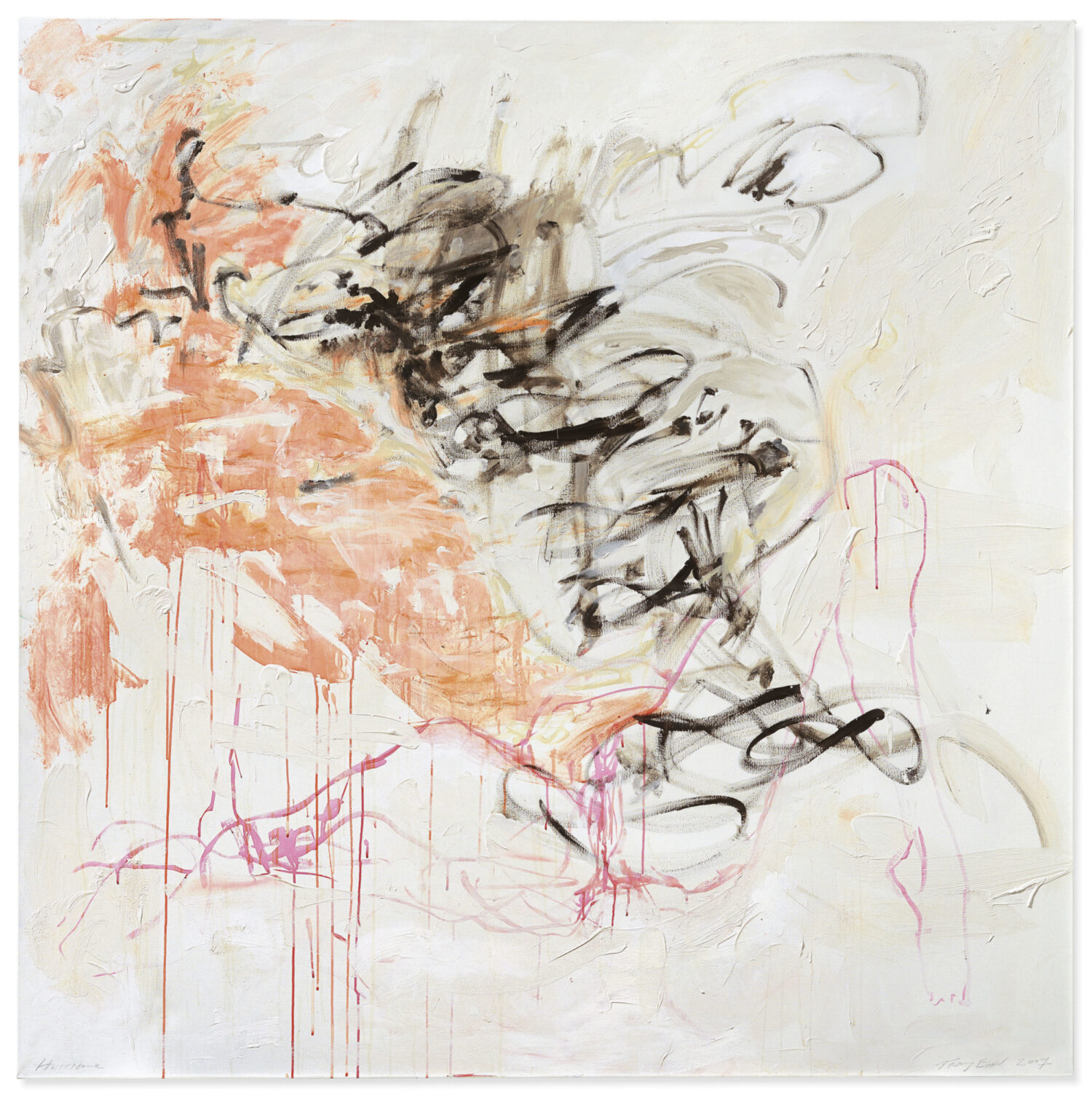 Hurricane by Tracey Emin, 2007