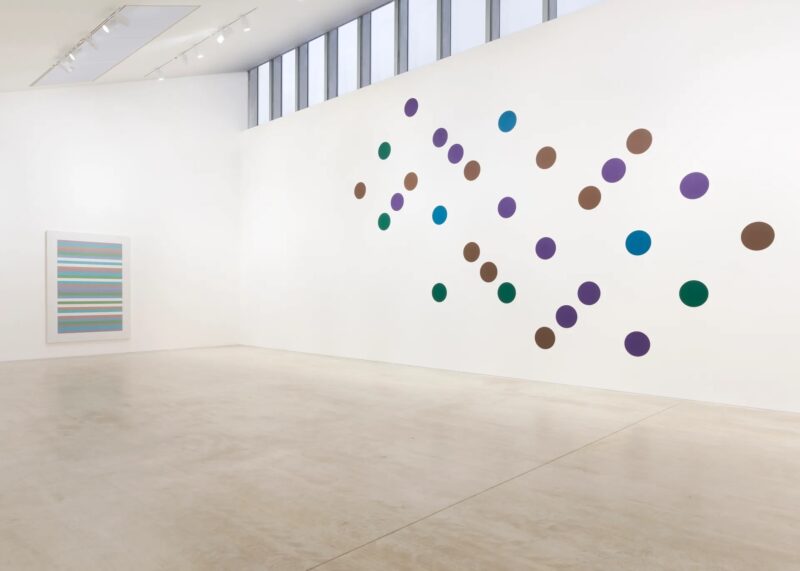 2bridget riley learning to see