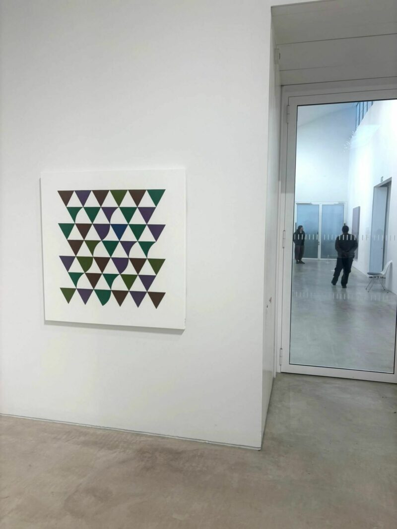 Bridget riley learning to see 2