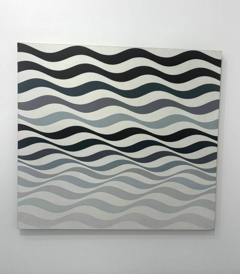 Bridget riley learning to see 4
