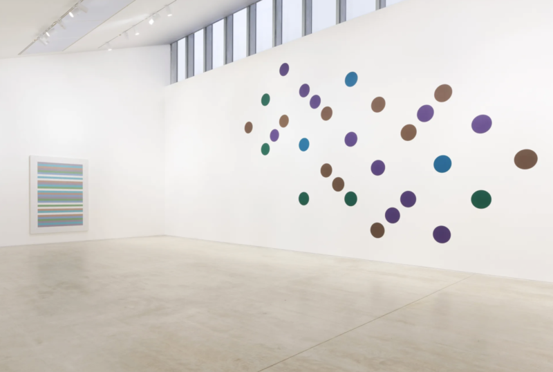 Bridget riley learning to see 6