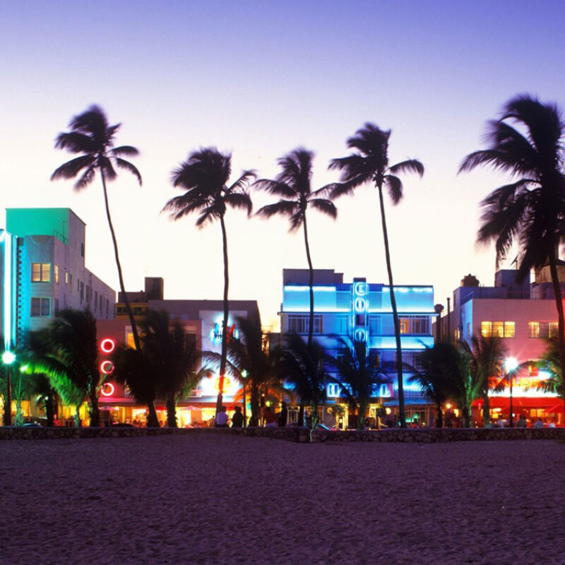 Miami Art Week 2025: Where the Art World Touches Down