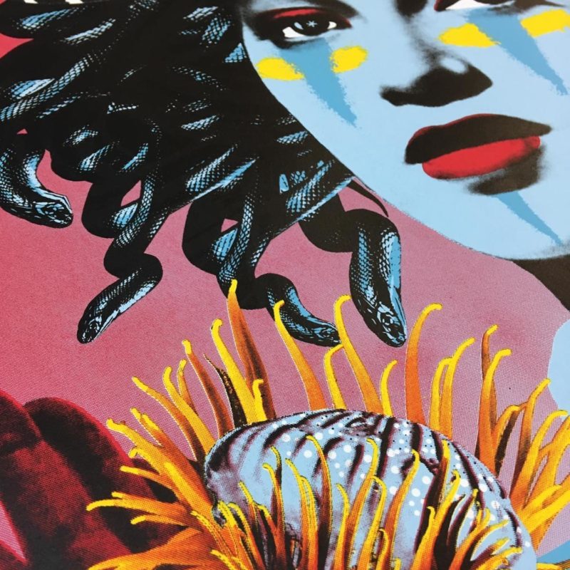 Johnathan Reiner | Medusa