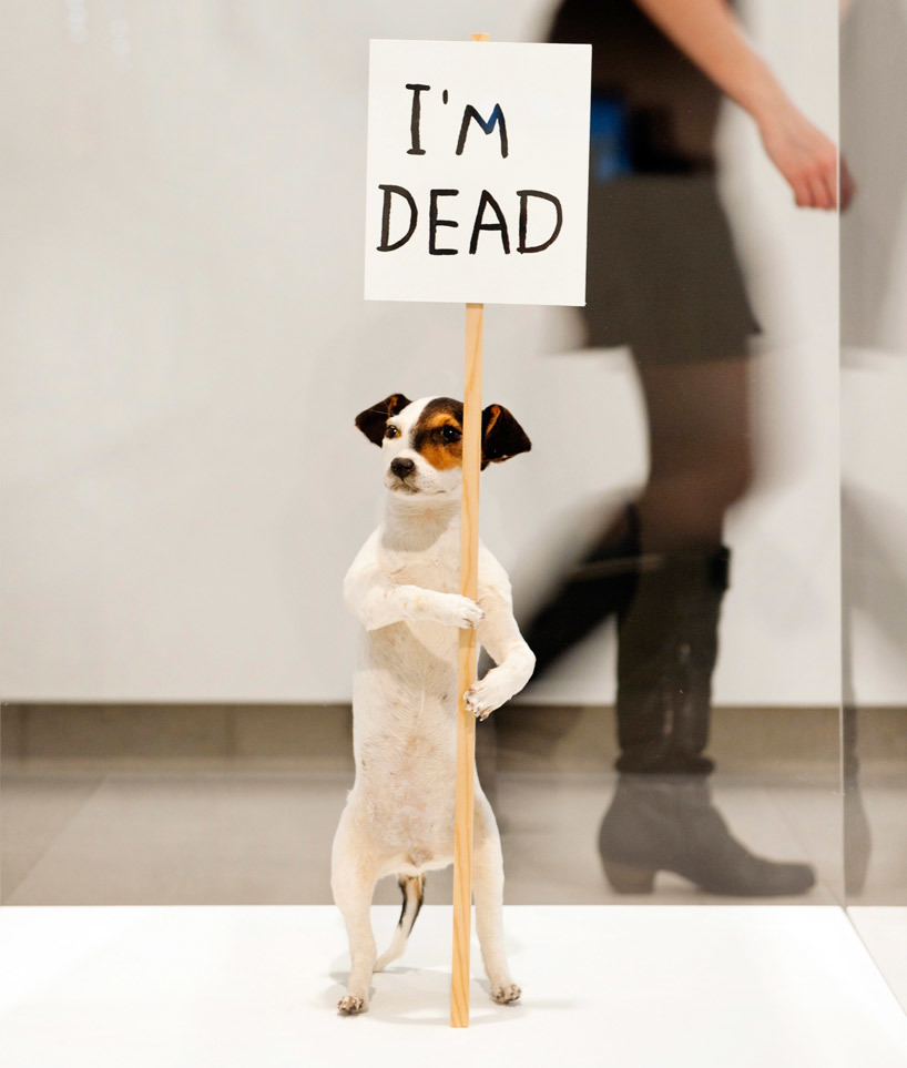 Installation view, David Shrigley: Brain Activity, Hayward Gallery, London, 2012.