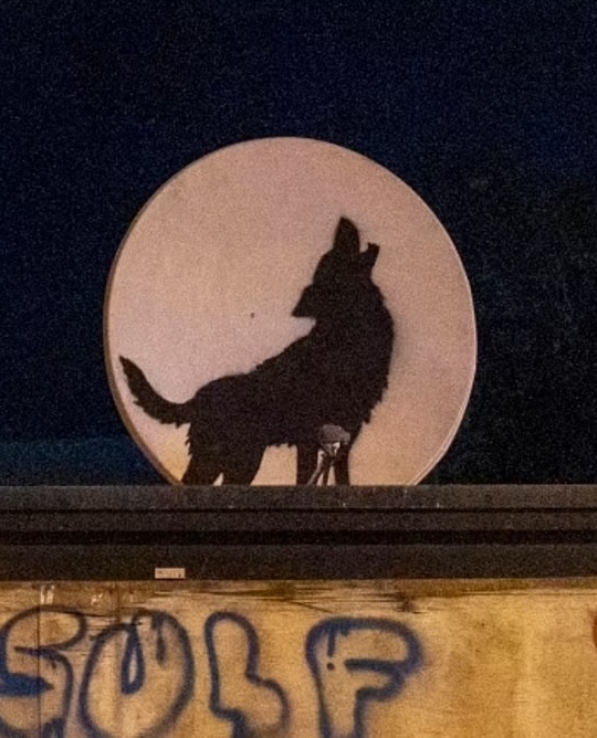 Howling Wolf (London Zoo Series) 2024